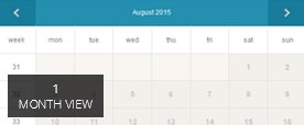 Availability Booking Calendar Demo 