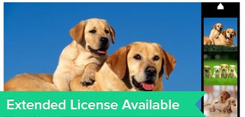 Extended License Program