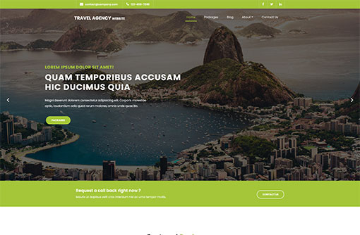 Travel Agency Web Template