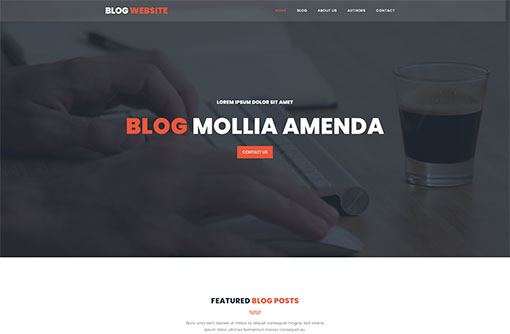 Blog Template