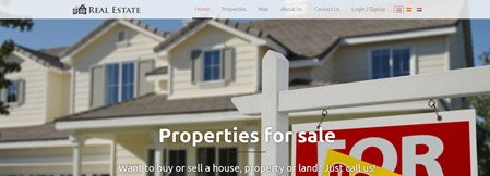 Real Estate Website Builder